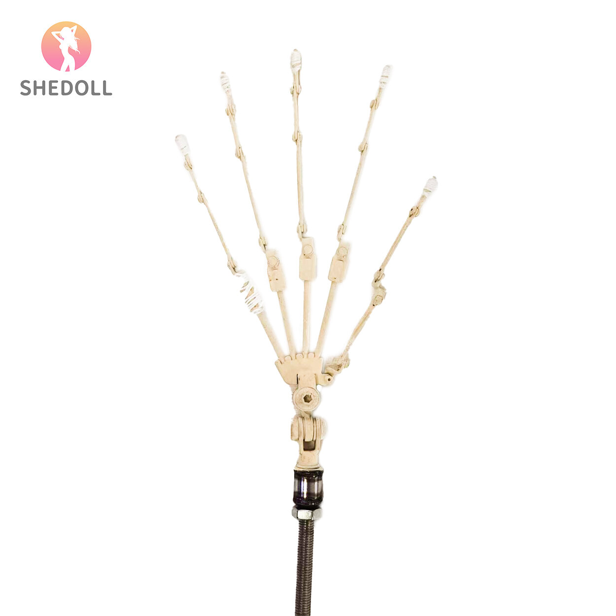 Finger Bone Type - 模擬(仿真)的手指骨骼